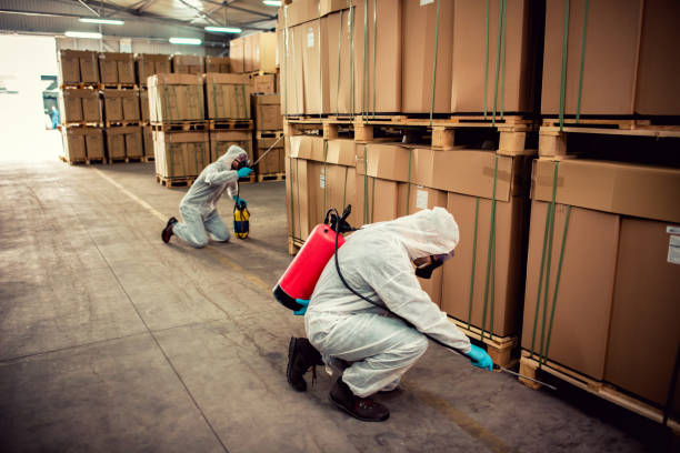Best Best Pest Control Near Me  in Yoakum, TX