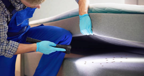 Best Bed Bug Extermination  in Yoakum, TX