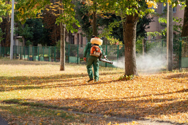 Best Termite Control Services  in Yoakum, TX