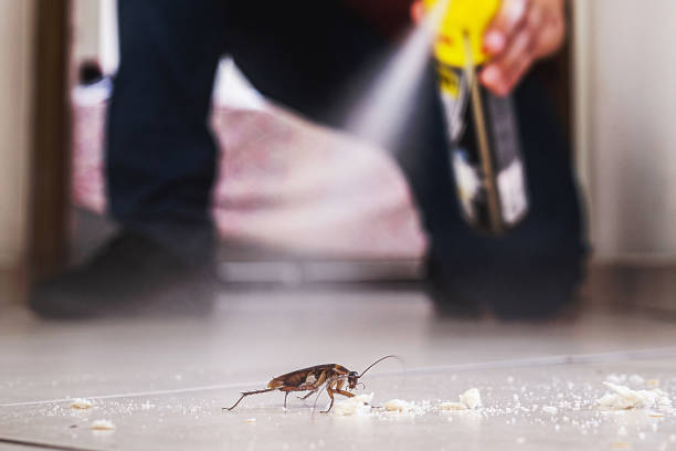 Best Pest Control Near Me in Yoakum, TX